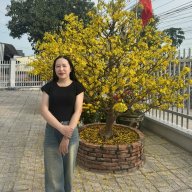 Xuân Lan